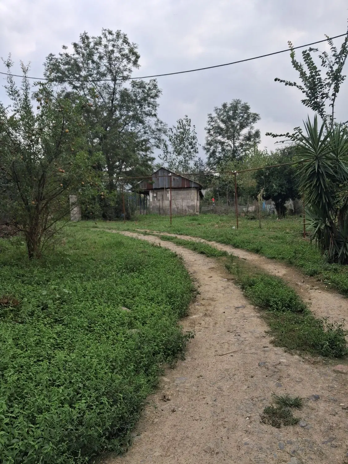 تصویر املاک 127637