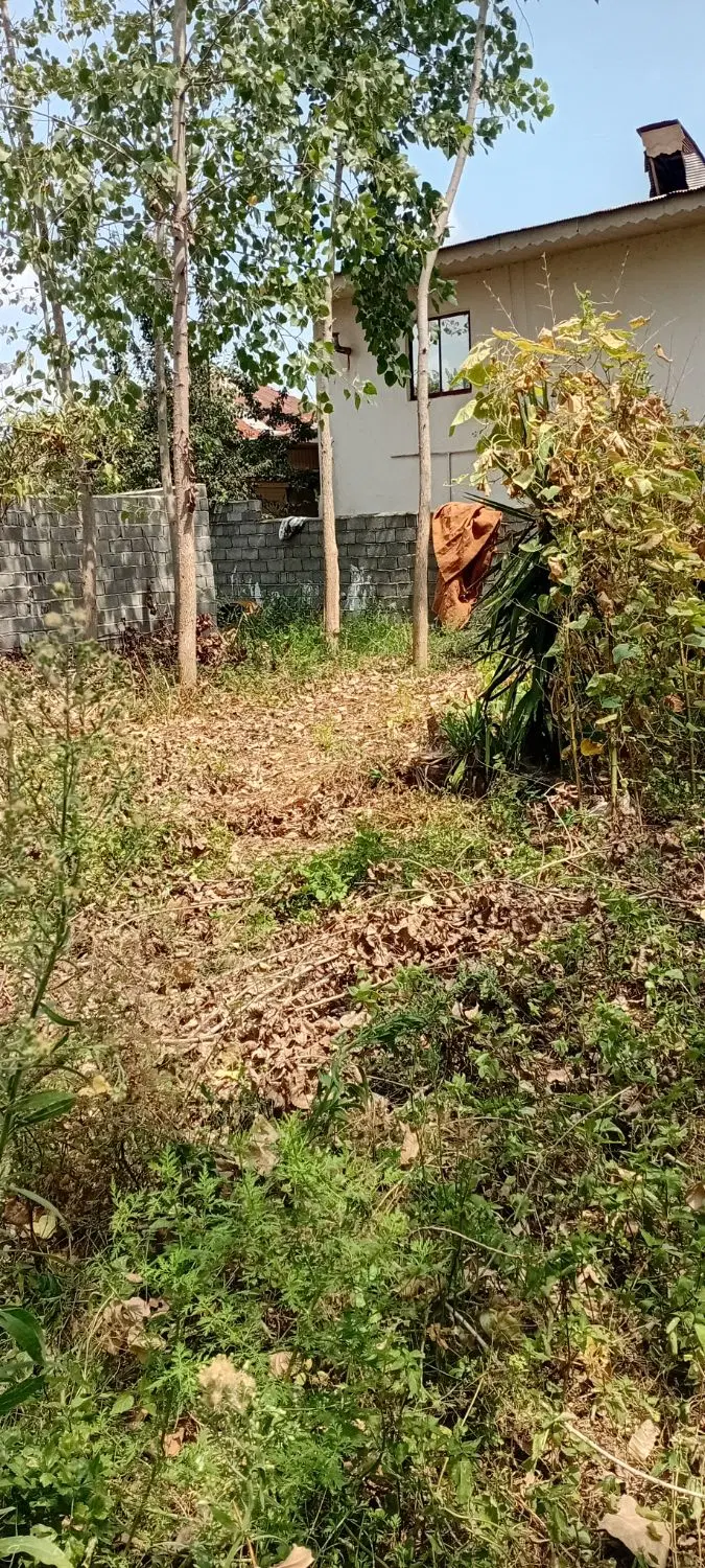 تصویر املاک 102027