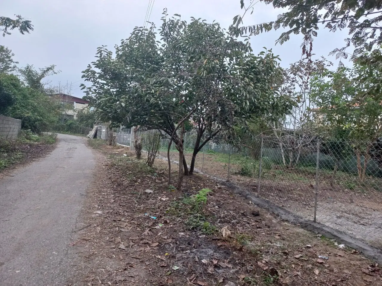 تصویر املاک 93146