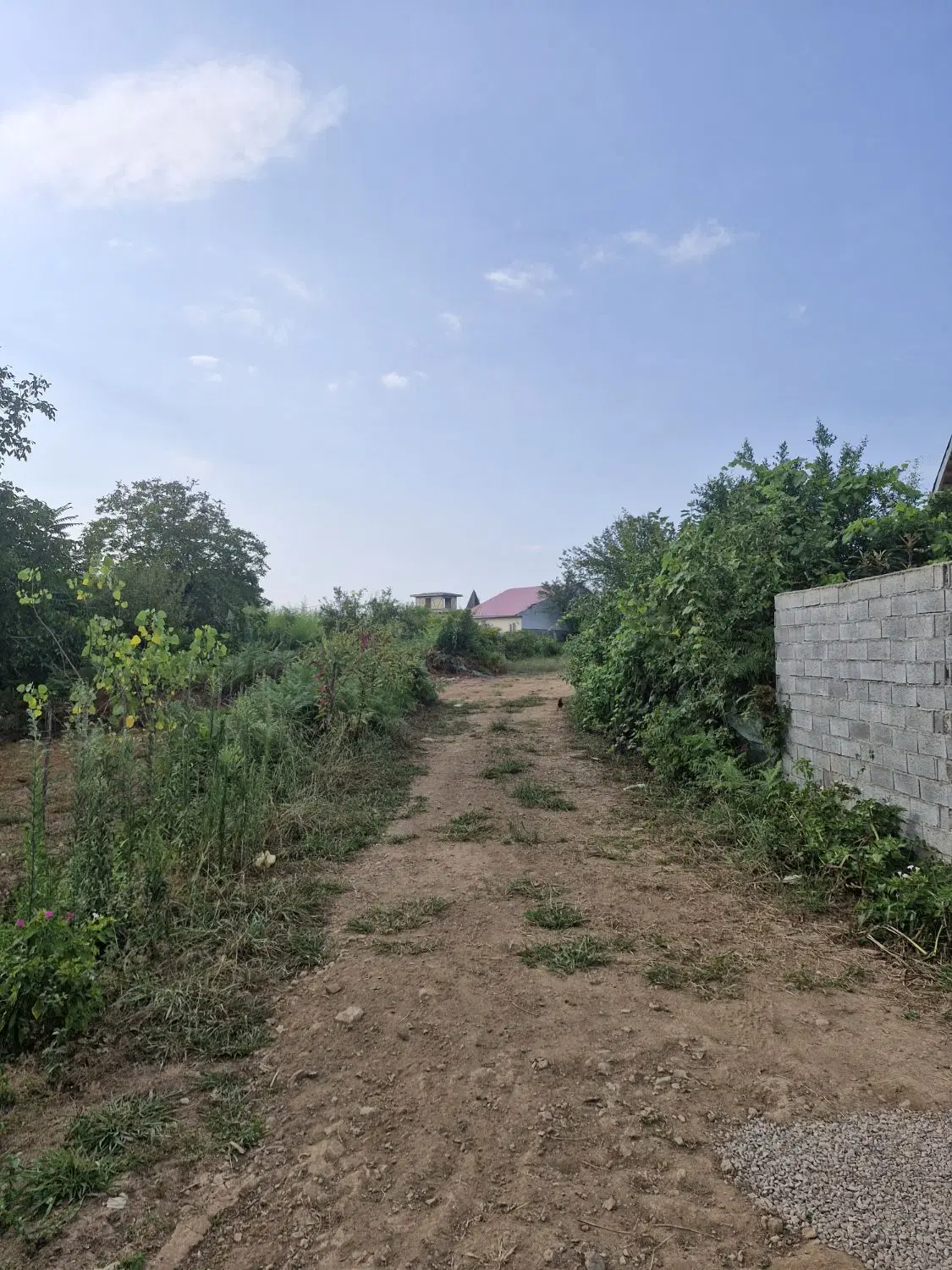 تصویر املاک 94829
