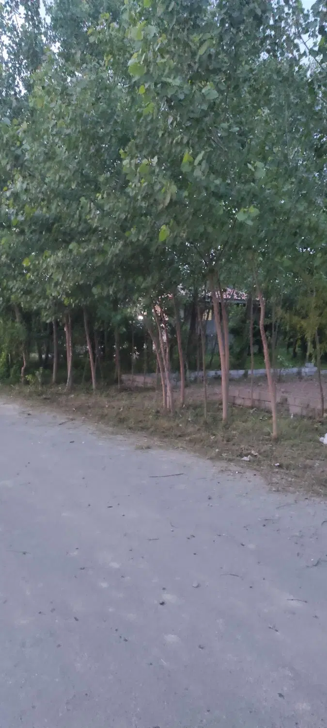 تصویر املاک 112296
