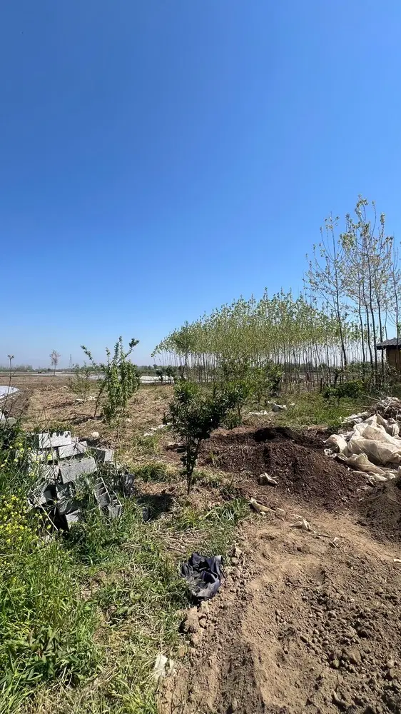 تصویر املاک 43746