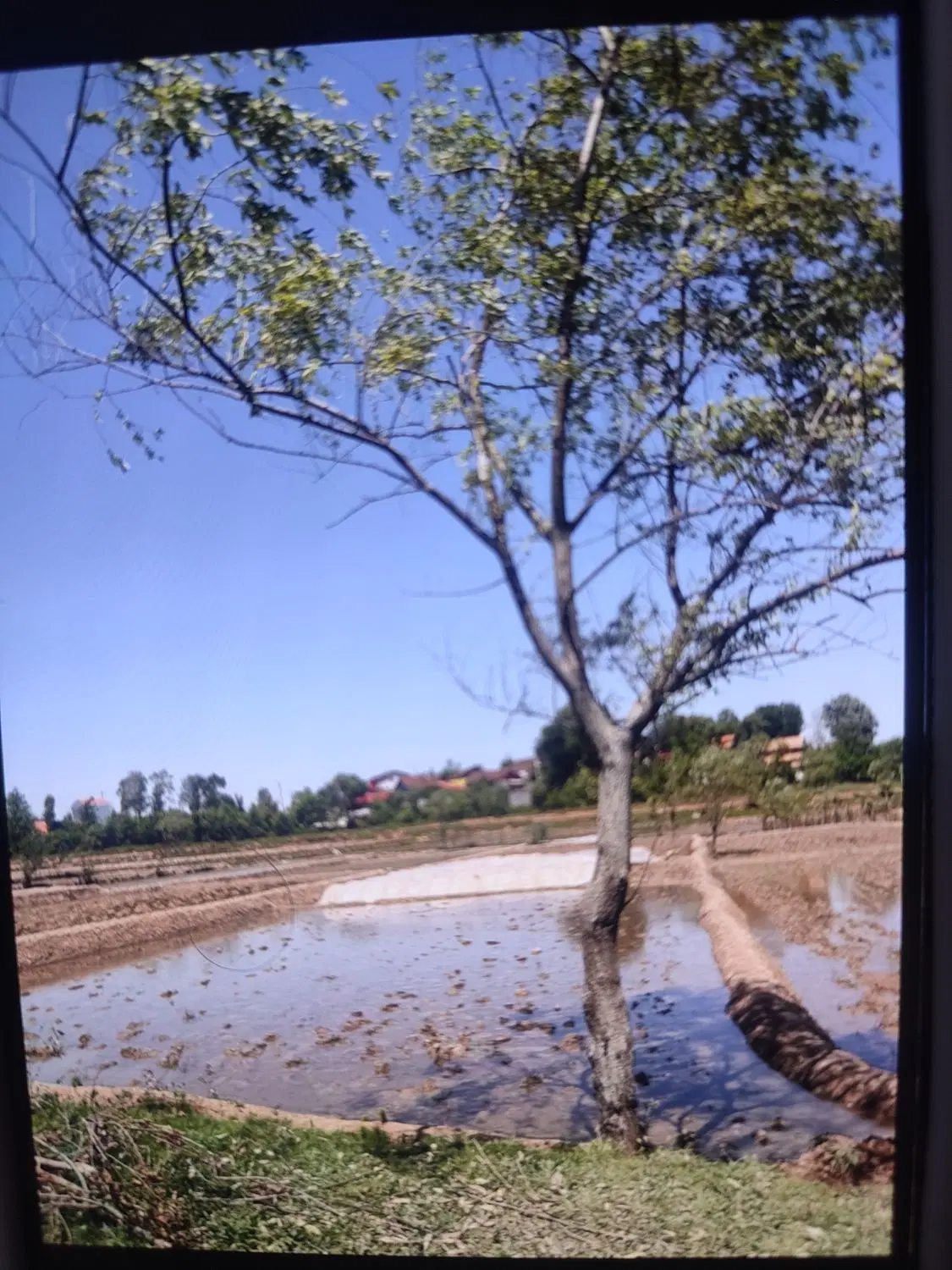 تصویر املاک 83959