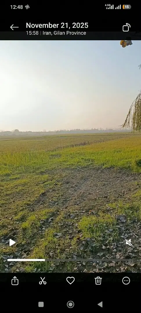تصویر املاک 139595