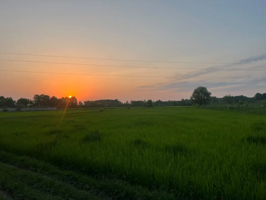 تصویر املاک 85597