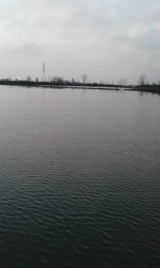تصویر املاک 66583