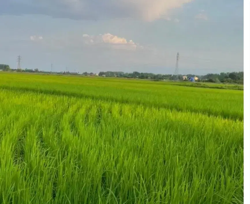 تصویر املاک 70113