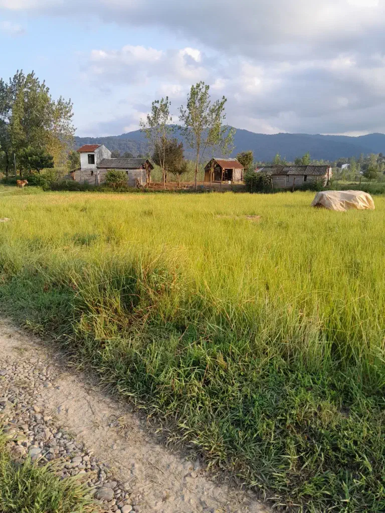 تصویر املاک 138846