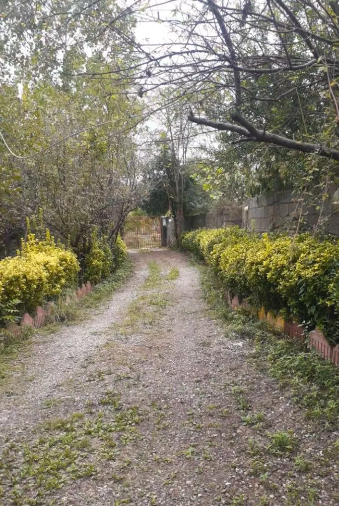 تصویر املاک 122001