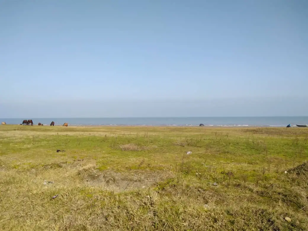 تصویر املاک 81057