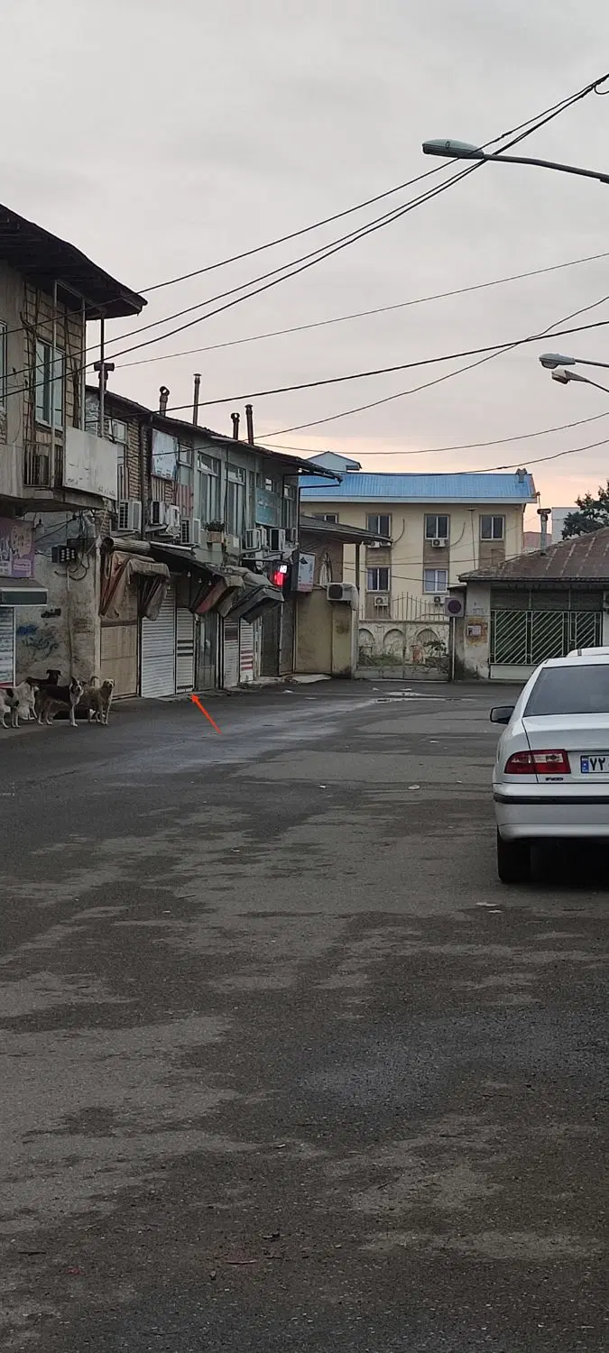 تصویر املاک 66422
