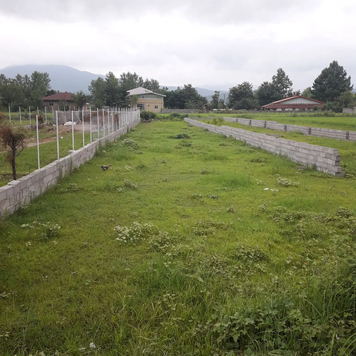 تصویر املاک 76401