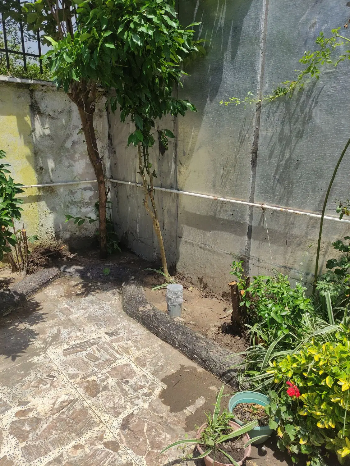 تصویر املاک 72641