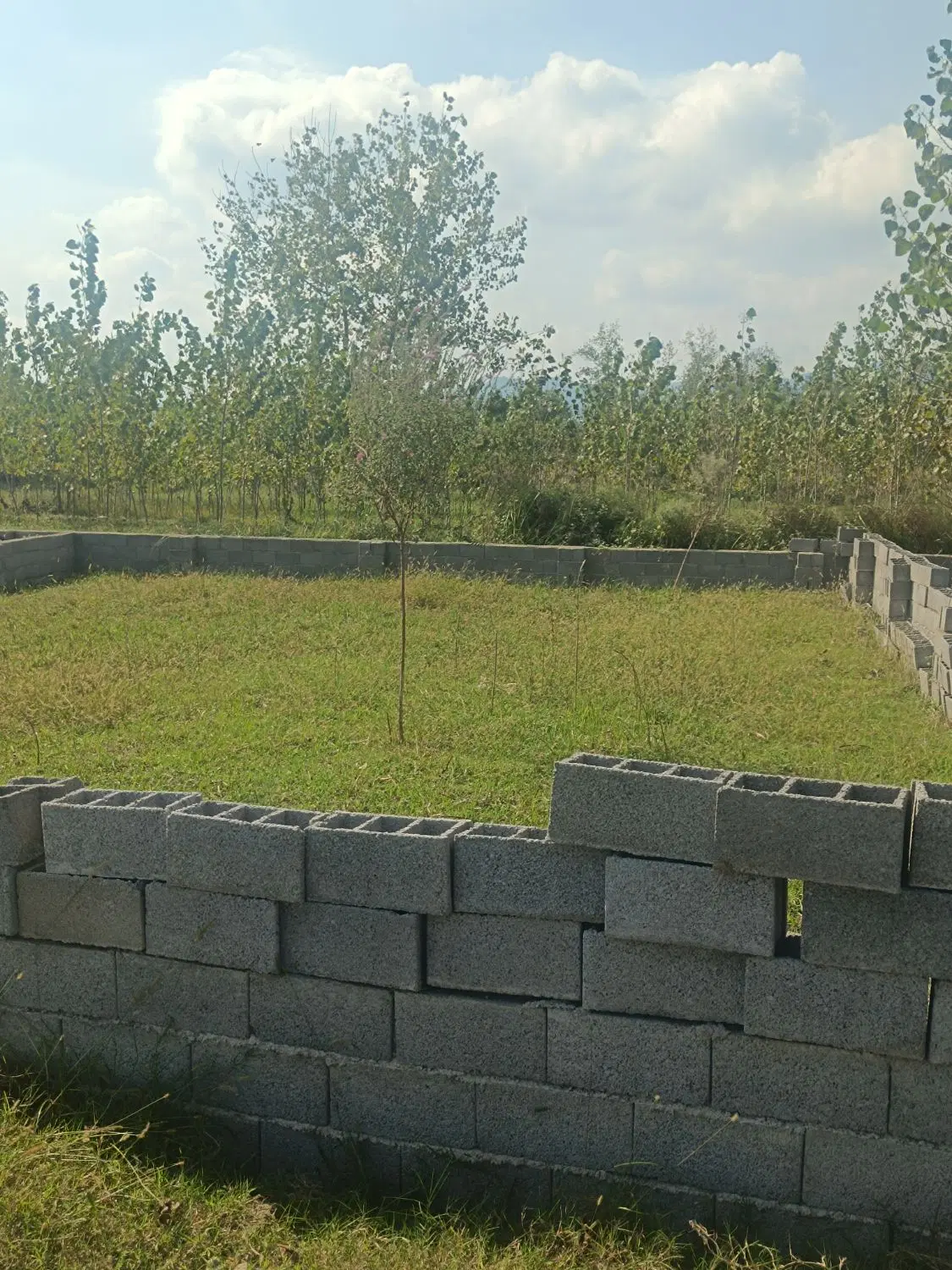 تصویر املاک 145517