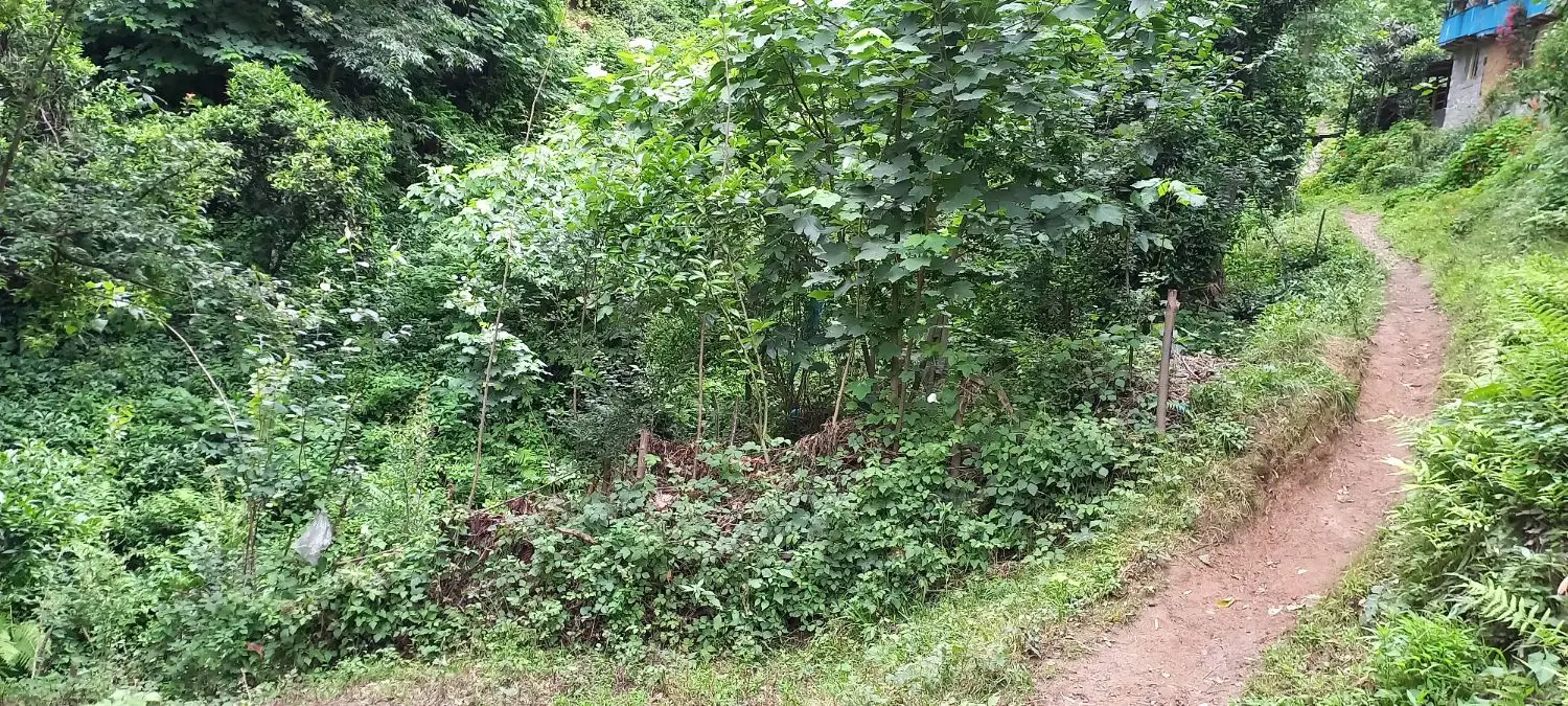 تصویر املاک 103852