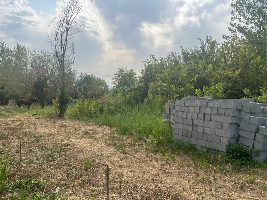 تصویر املاک 99238