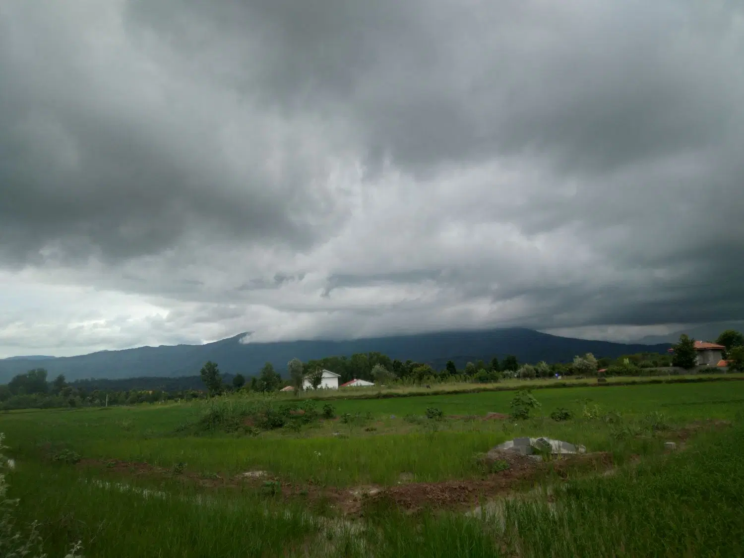 تصویر املاک 124175