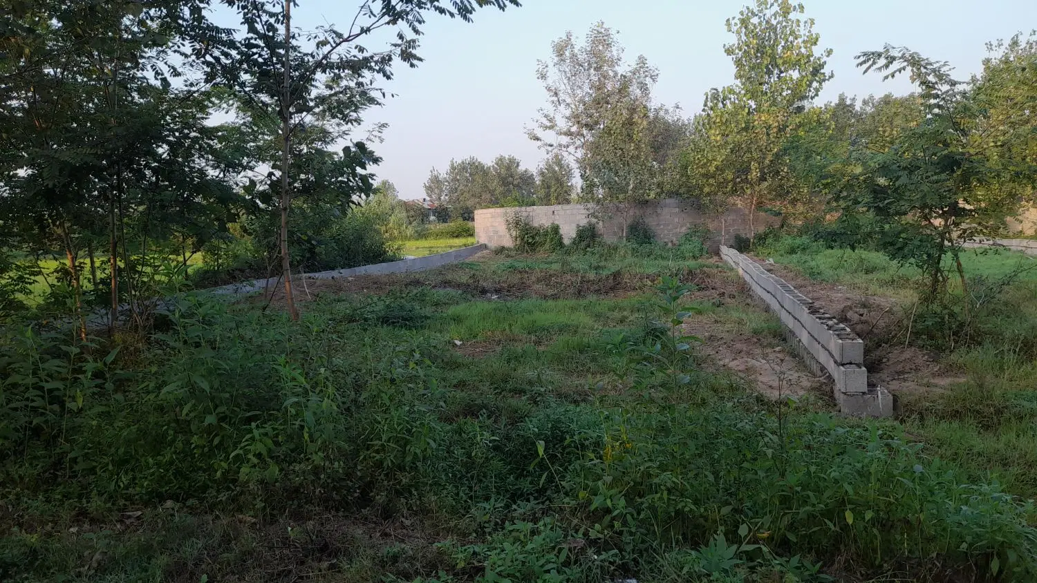 تصویر املاک 97214