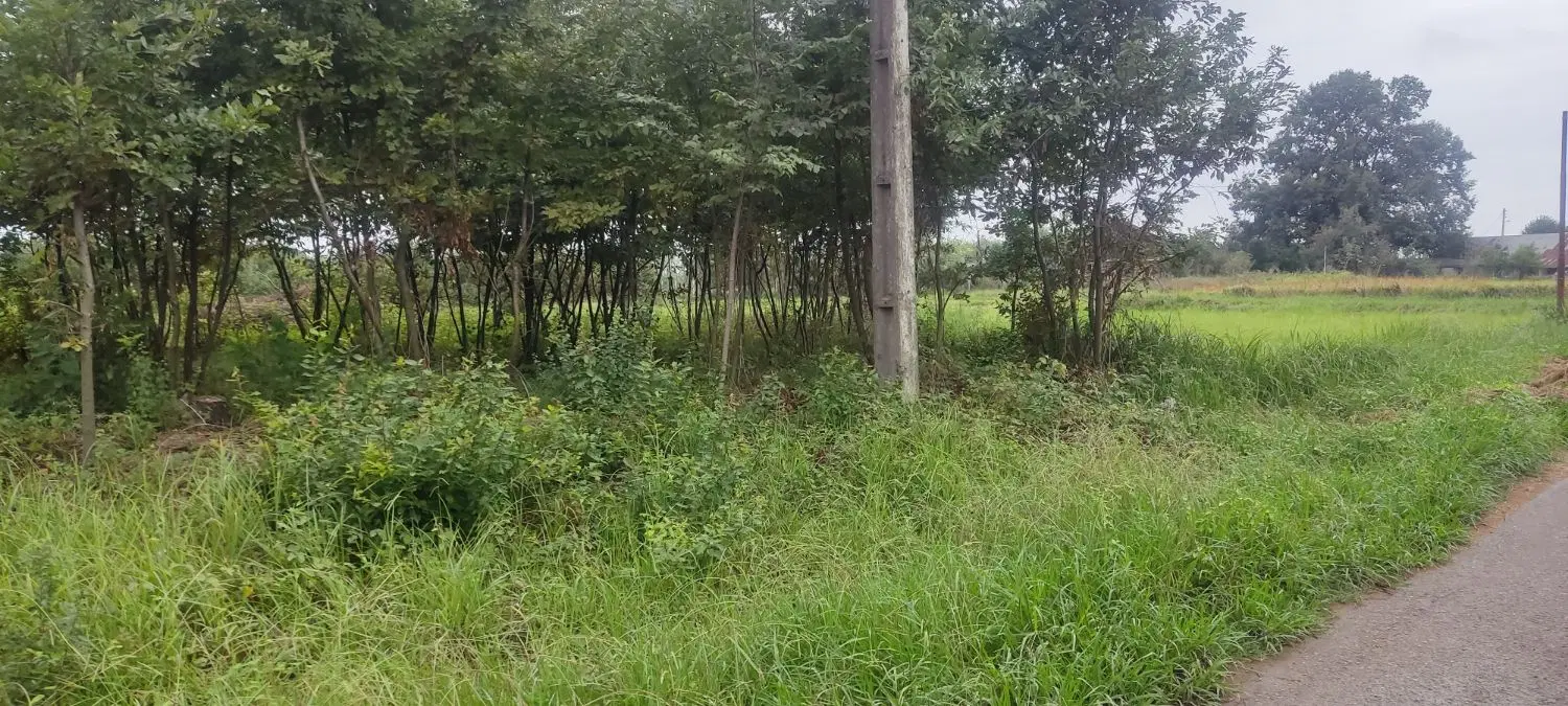 تصویر املاک 132082