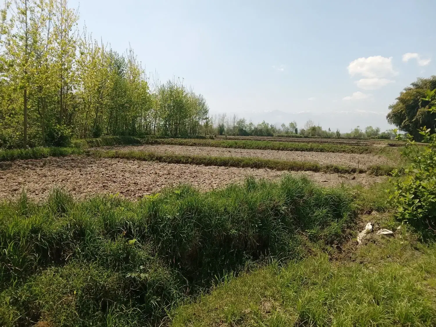 تصویر املاک 69867