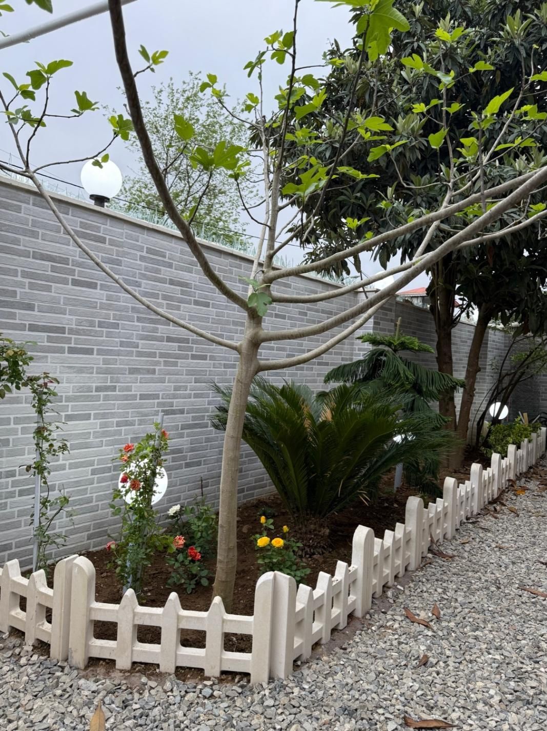 تصویر املاک 84629