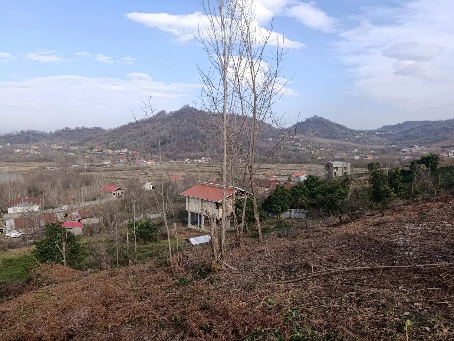 تصویر املاک 117306