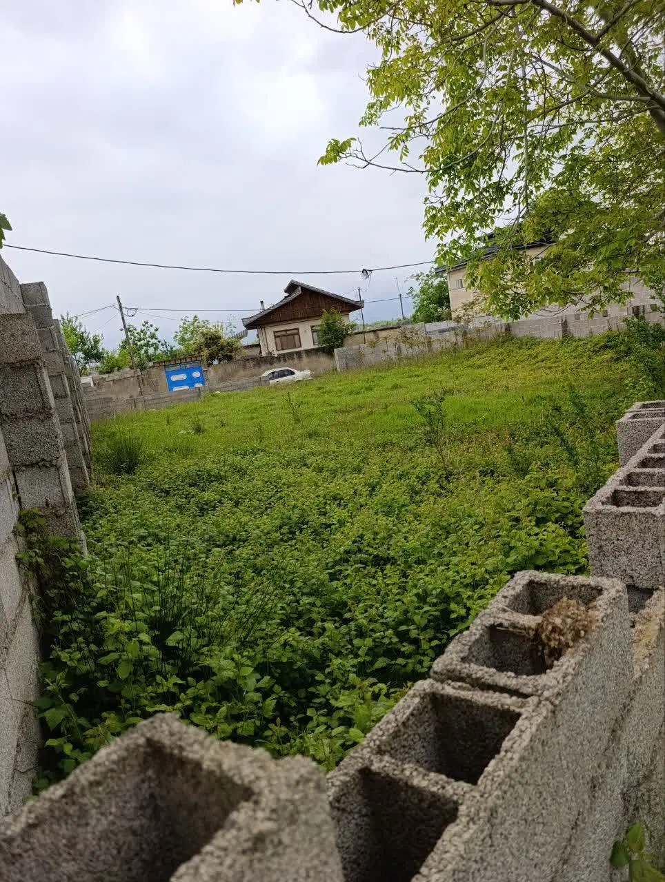 تصویر املاک 118632