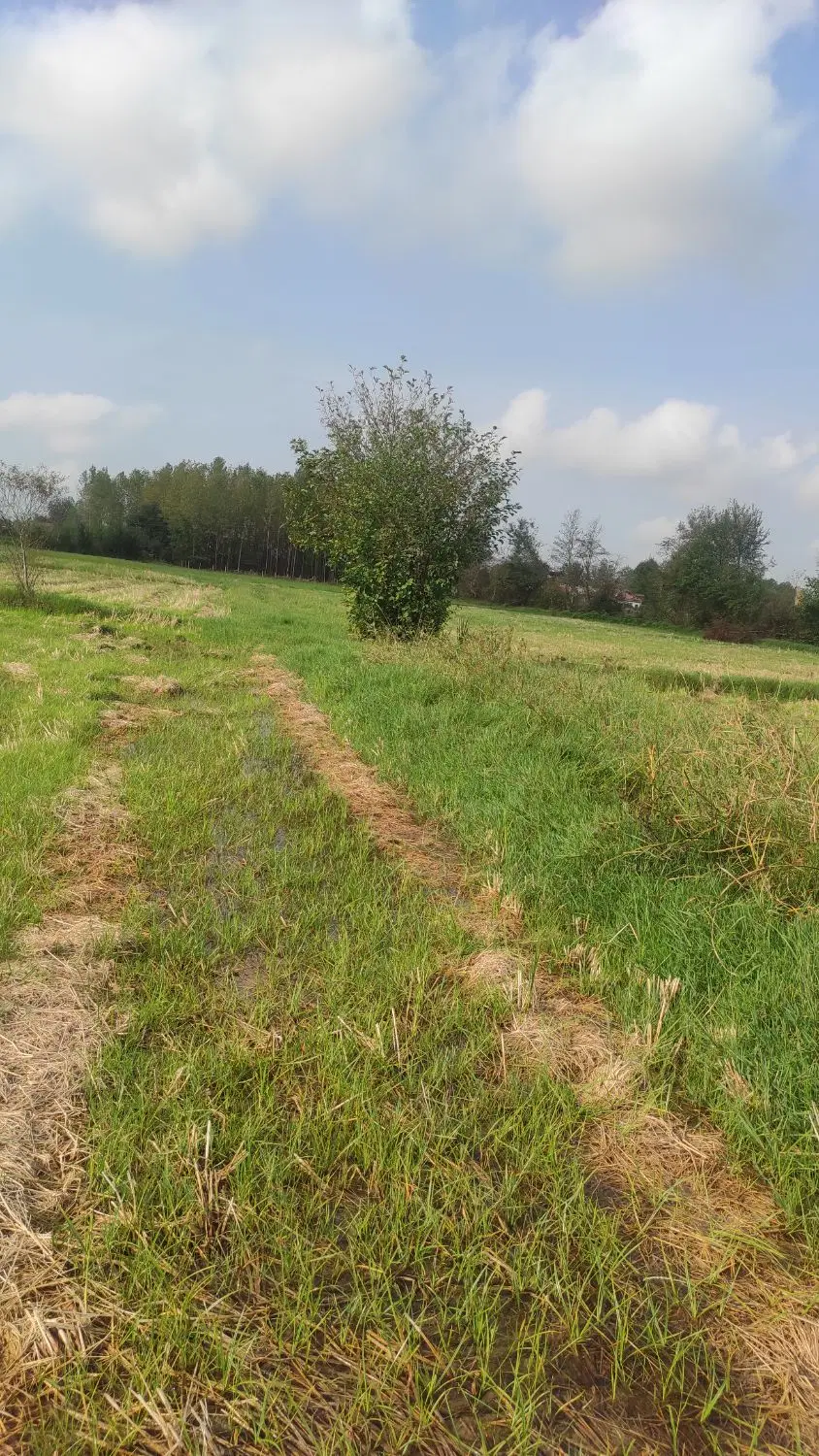 تصویر املاک 86303