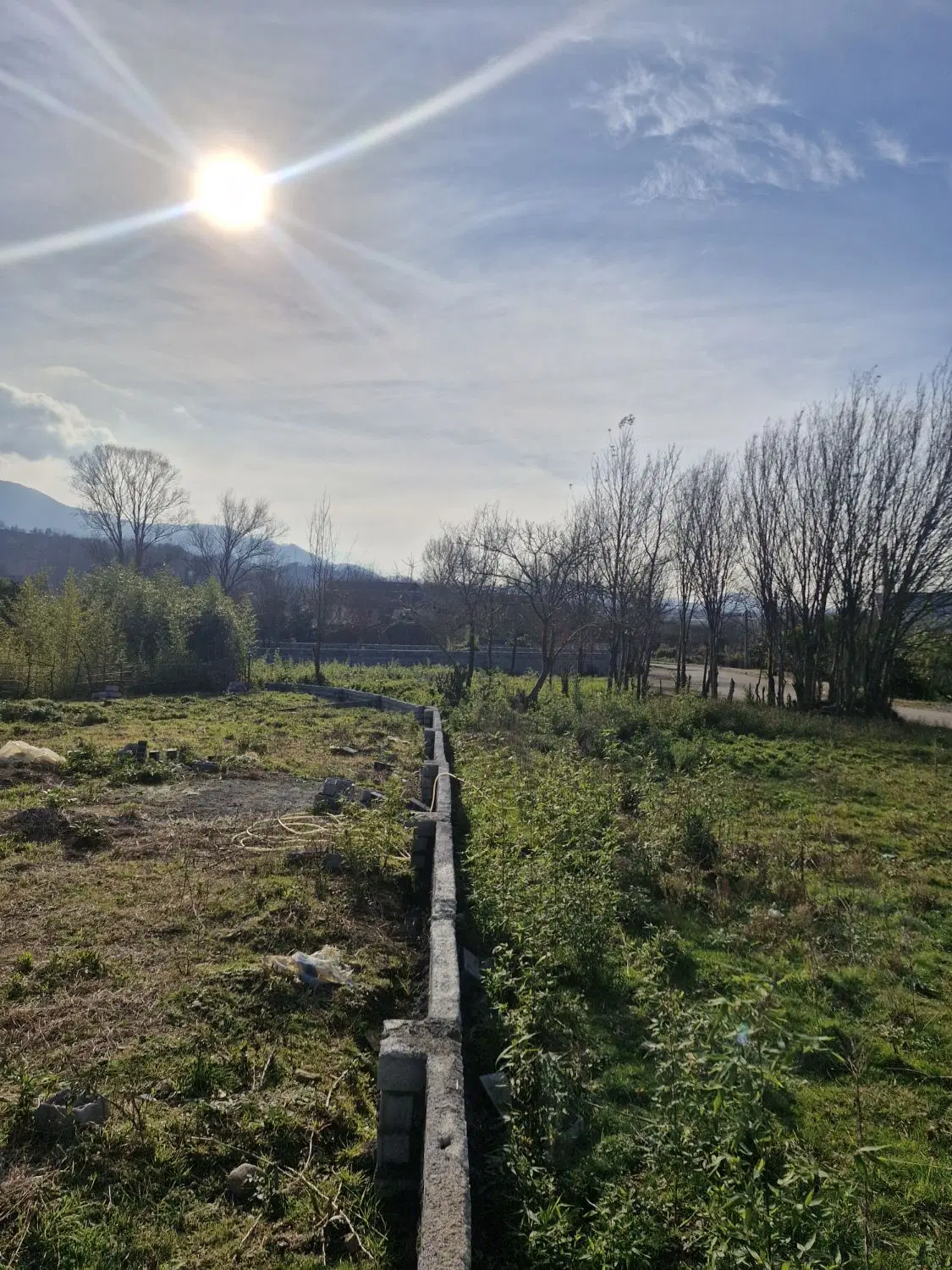 تصویر املاک 94834