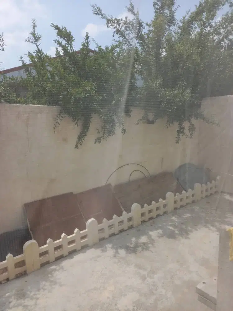 تصویر املاک 83656