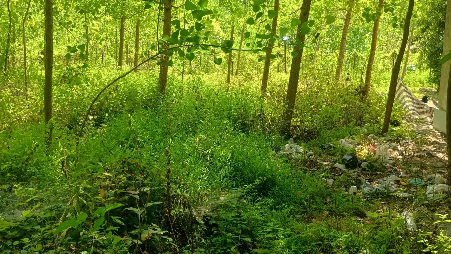 تصویر املاک 103175
