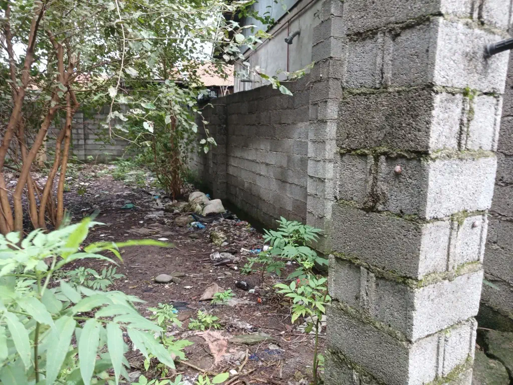تصویر املاک 143301