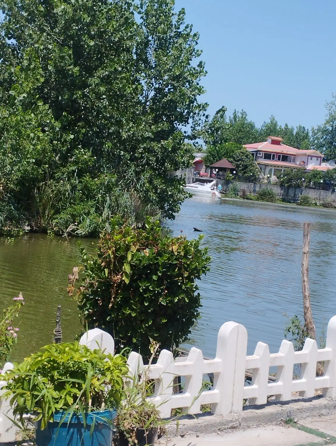 تصویر املاک 124389