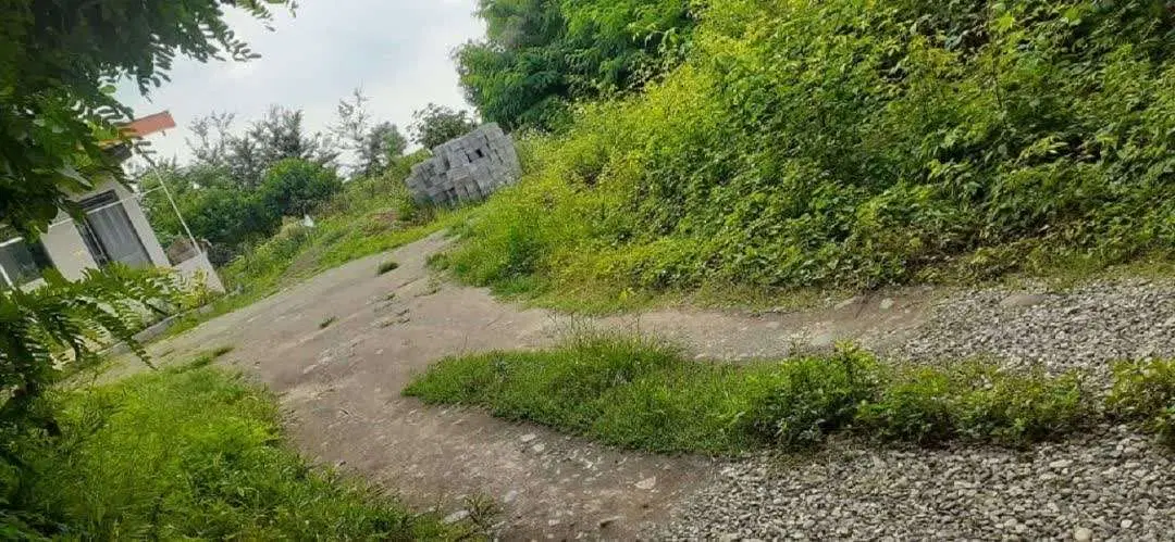 تصویر املاک 116307