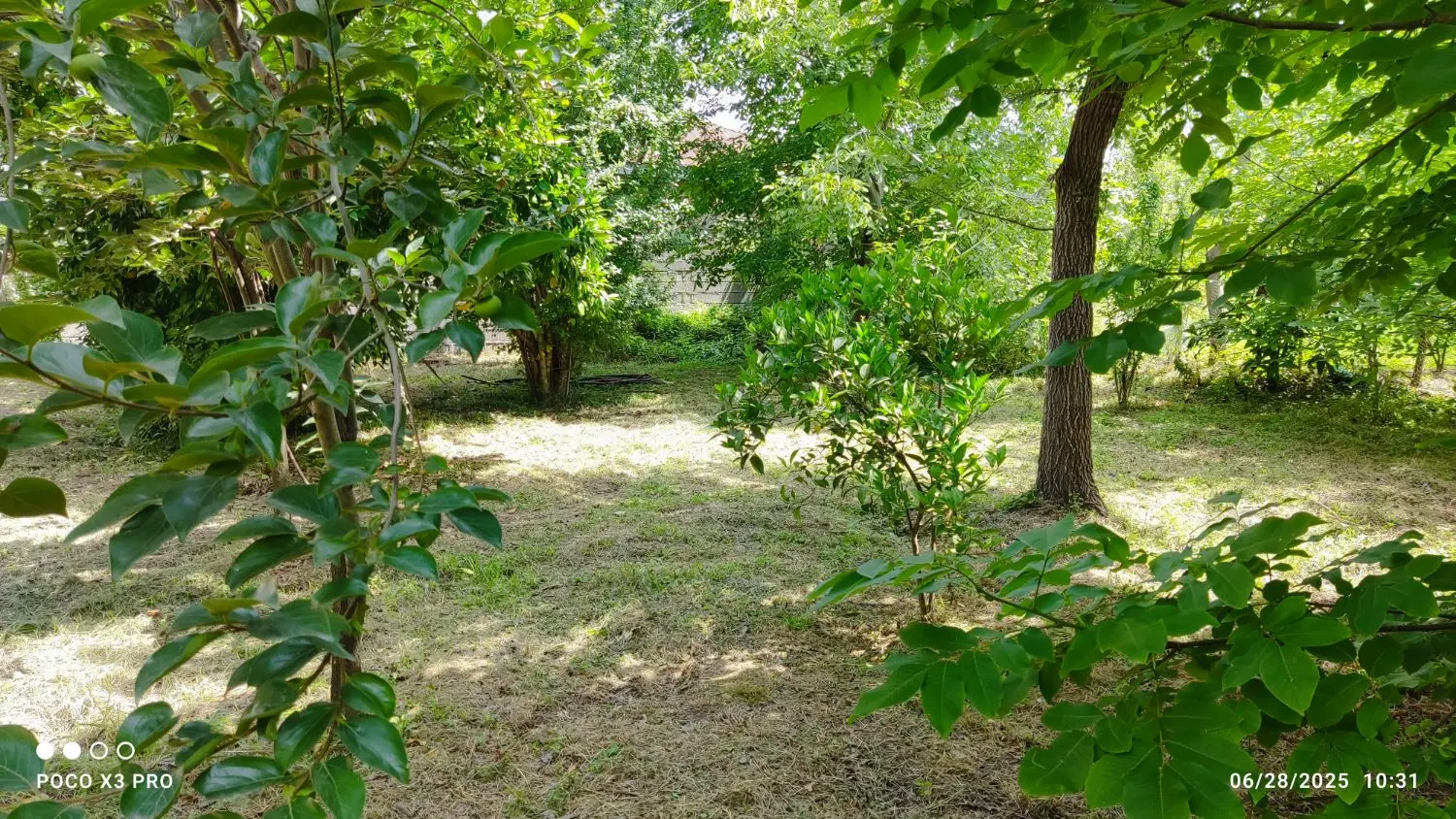 تصویر املاک 101319