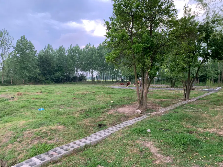 تصویر املاک 131023