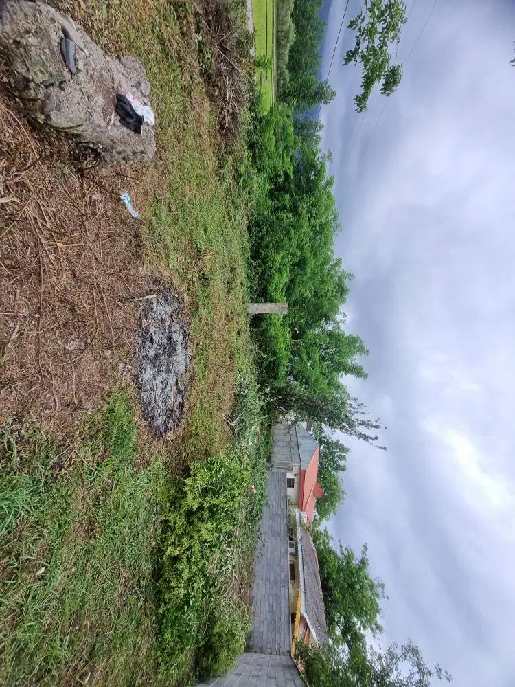 تصویر املاک 88122