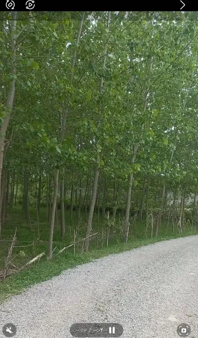 تصویر املاک 38255