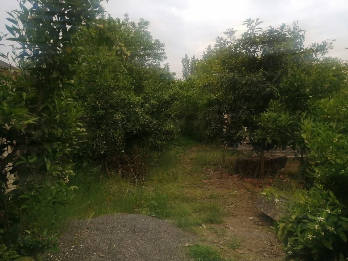 تصویر املاک 73965