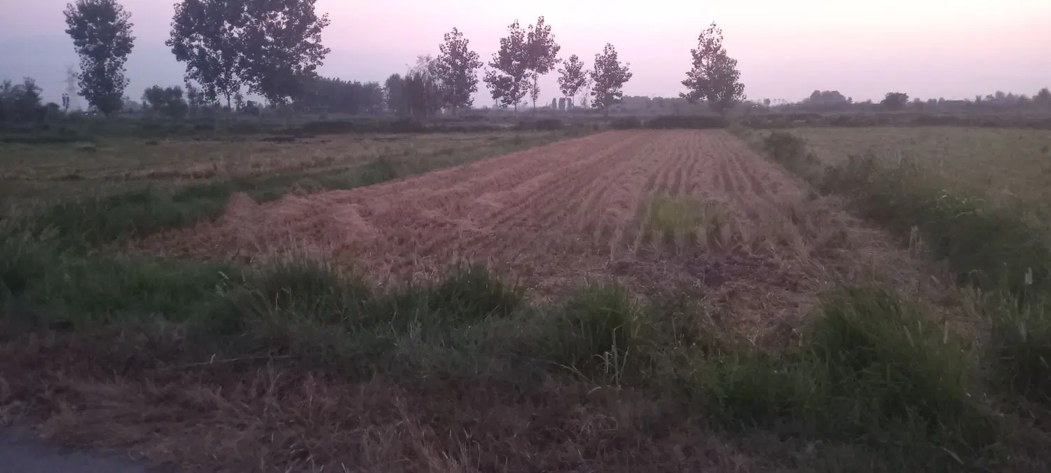 تصویر املاک 122334