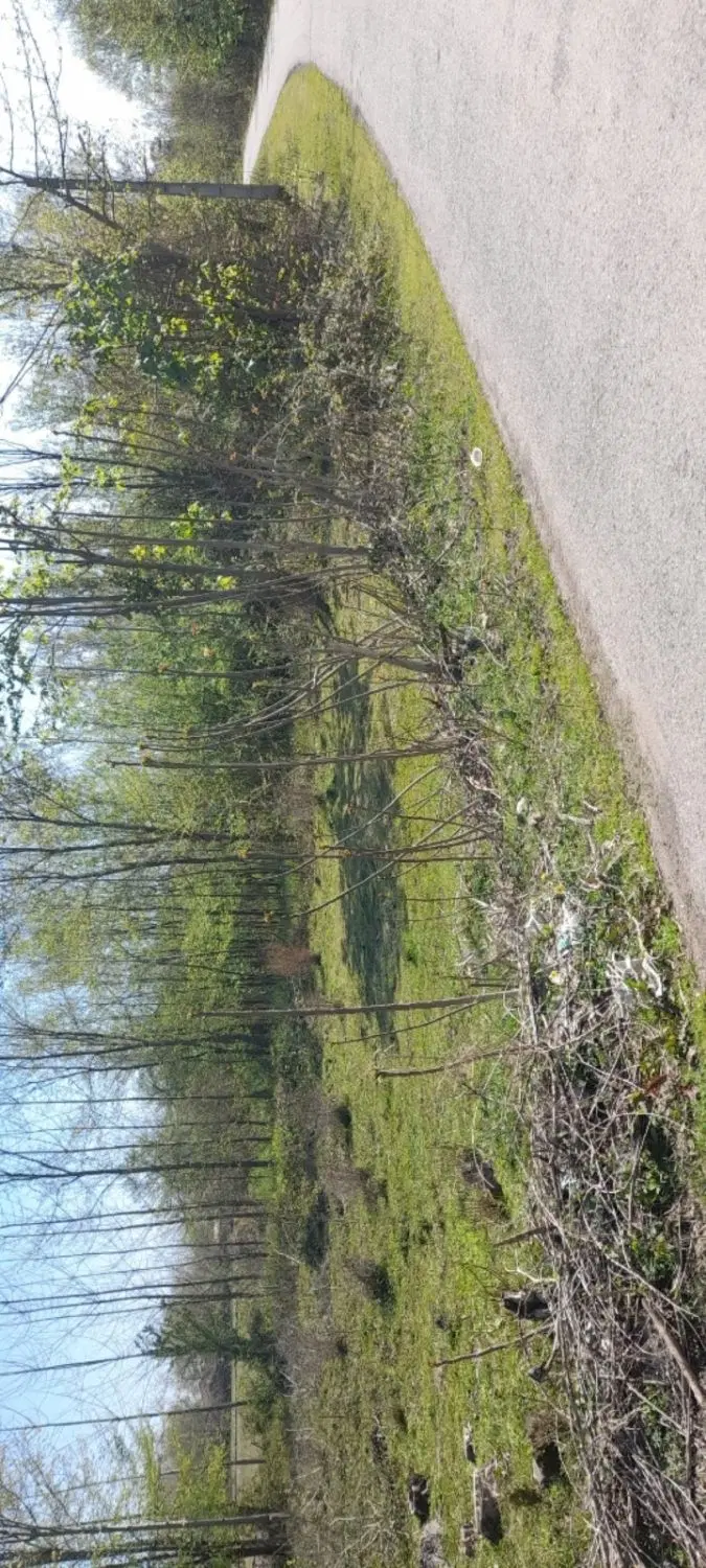 تصویر املاک 99460
