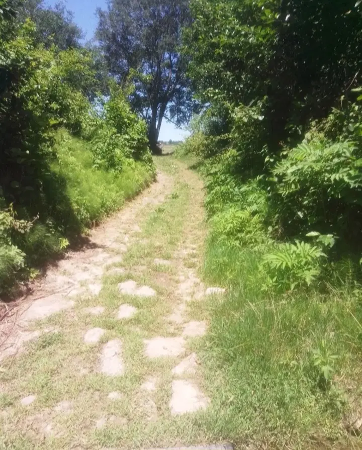 تصویر املاک 115751