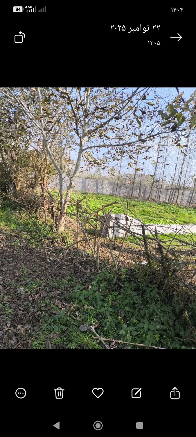 تصویر املاک 109716