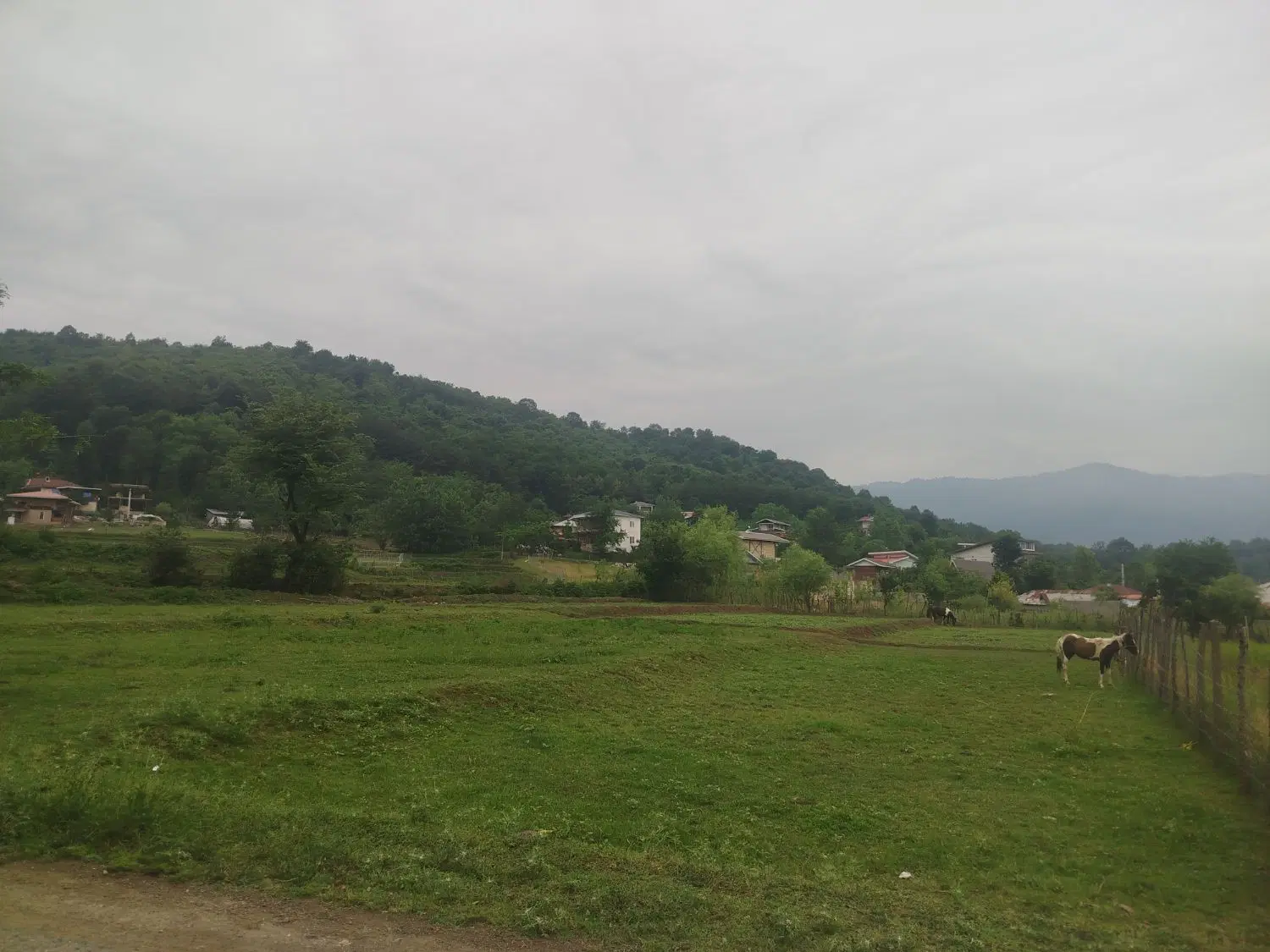 تصویر املاک 66114