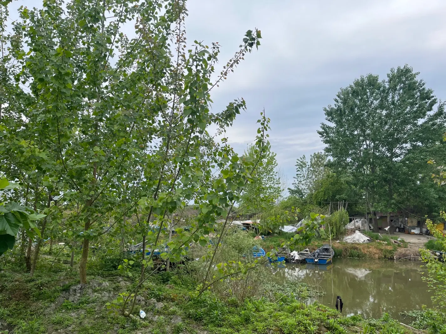 تصویر املاک 94811