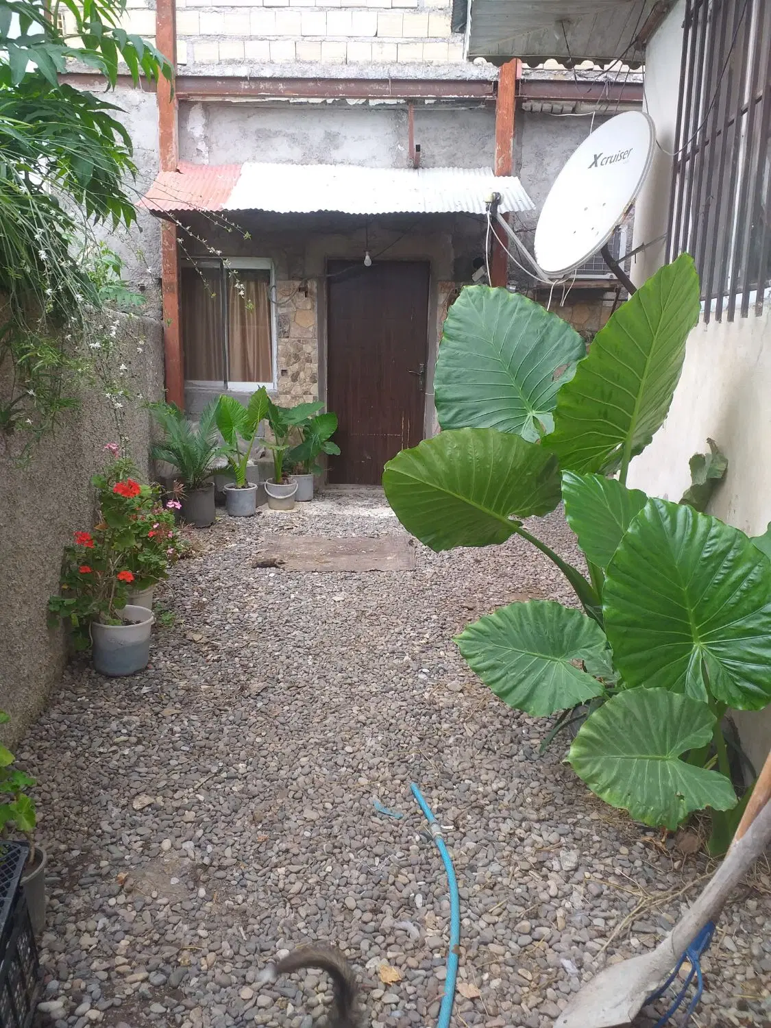 تصویر املاک 129542