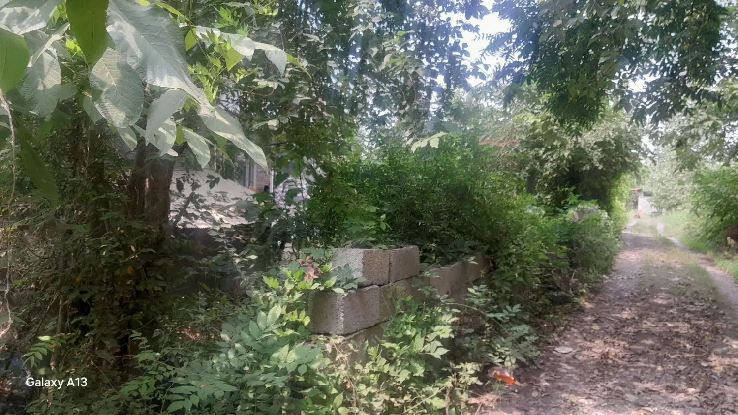 تصویر املاک 111016