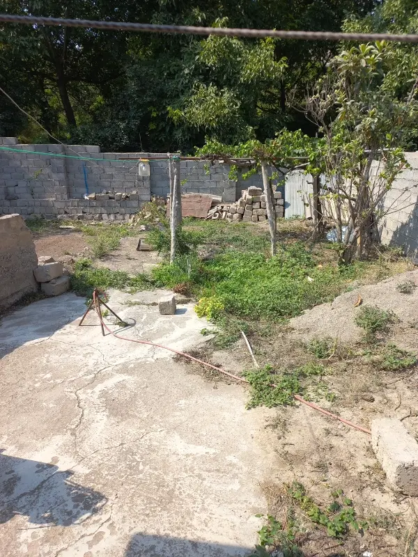 تصویر املاک 100550