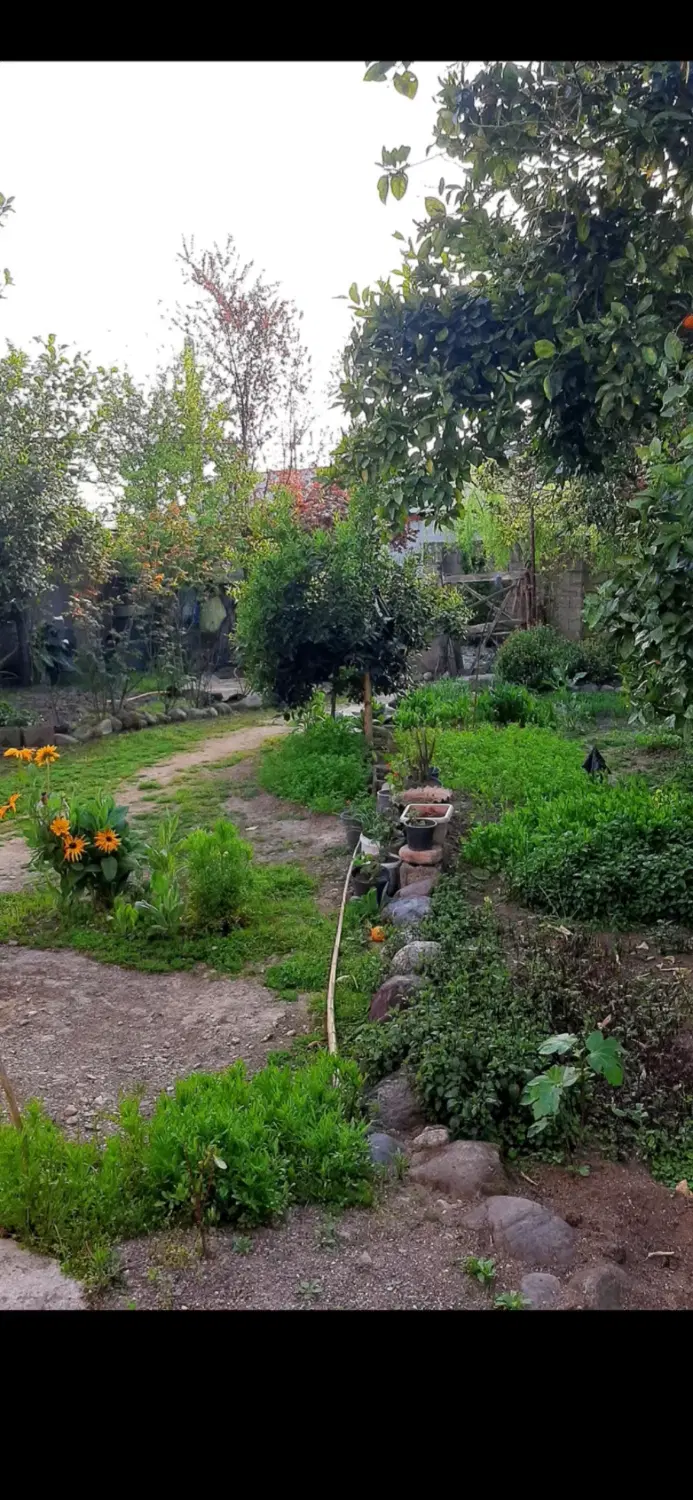 تصویر املاک 114281