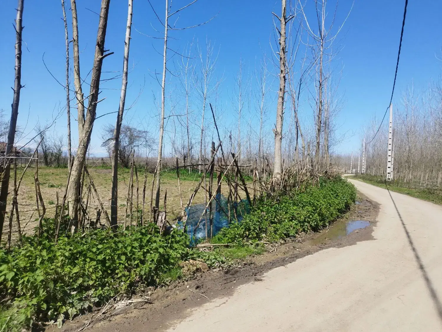 تصویر املاک 92530